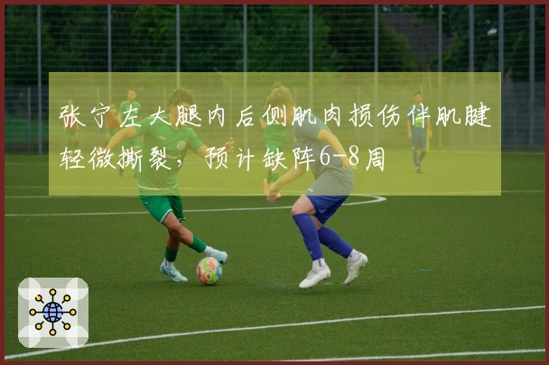 张宁左大腿内后侧肌肉损伤伴肌腱轻微撕裂，预计缺阵6-8周