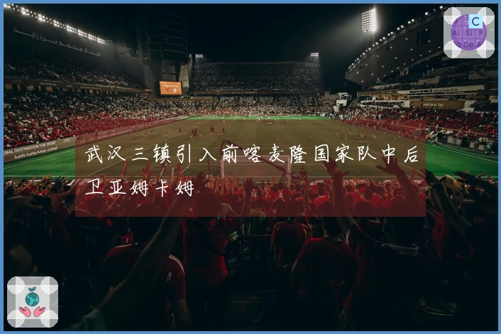 武汉三镇引入前喀麦隆国家队中后卫亚姆卡姆