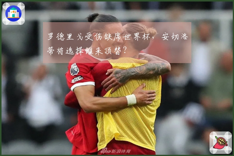 罗德里戈受伤缺席世界杯，安切洛蒂将选择谁来顶替？