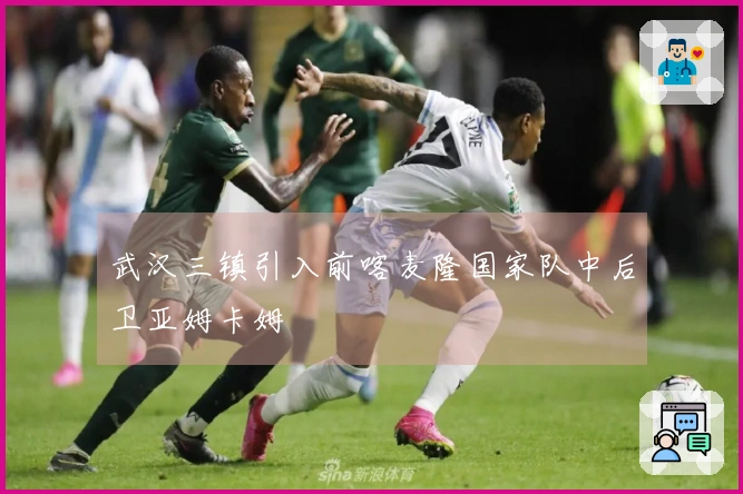 武汉三镇引入前喀麦隆国家队中后卫亚姆卡姆